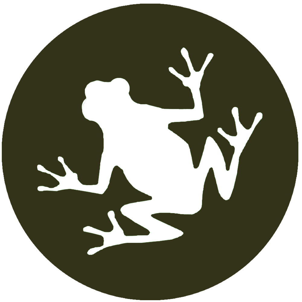 Prosdocimi